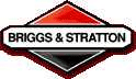 Briggs and Stratton